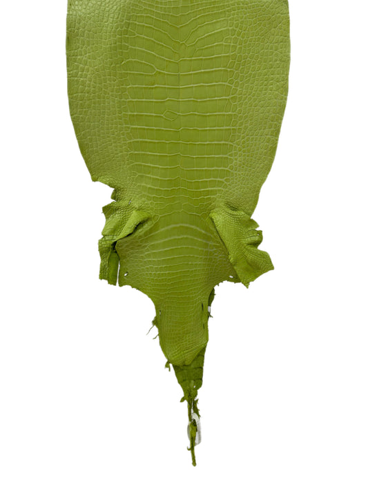 37 cm Grade 3/4 Chartreuse Matte Wild American Alligator Leather - Tag: LA23-0001987