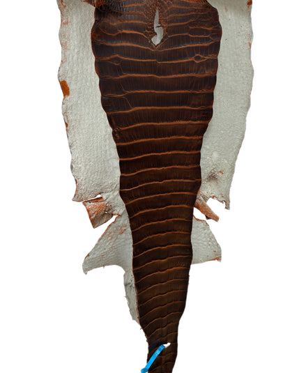 39 cm Grade 1/2 Sienna Desert Wild American Alligator Leather - Tag: ESRE-0050840