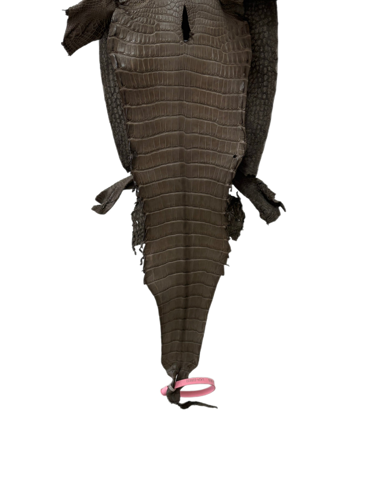 22 cm Grade 1/2 Etain Matte Farm-Raised American Alligator Leather - Tag: LA24-0228932