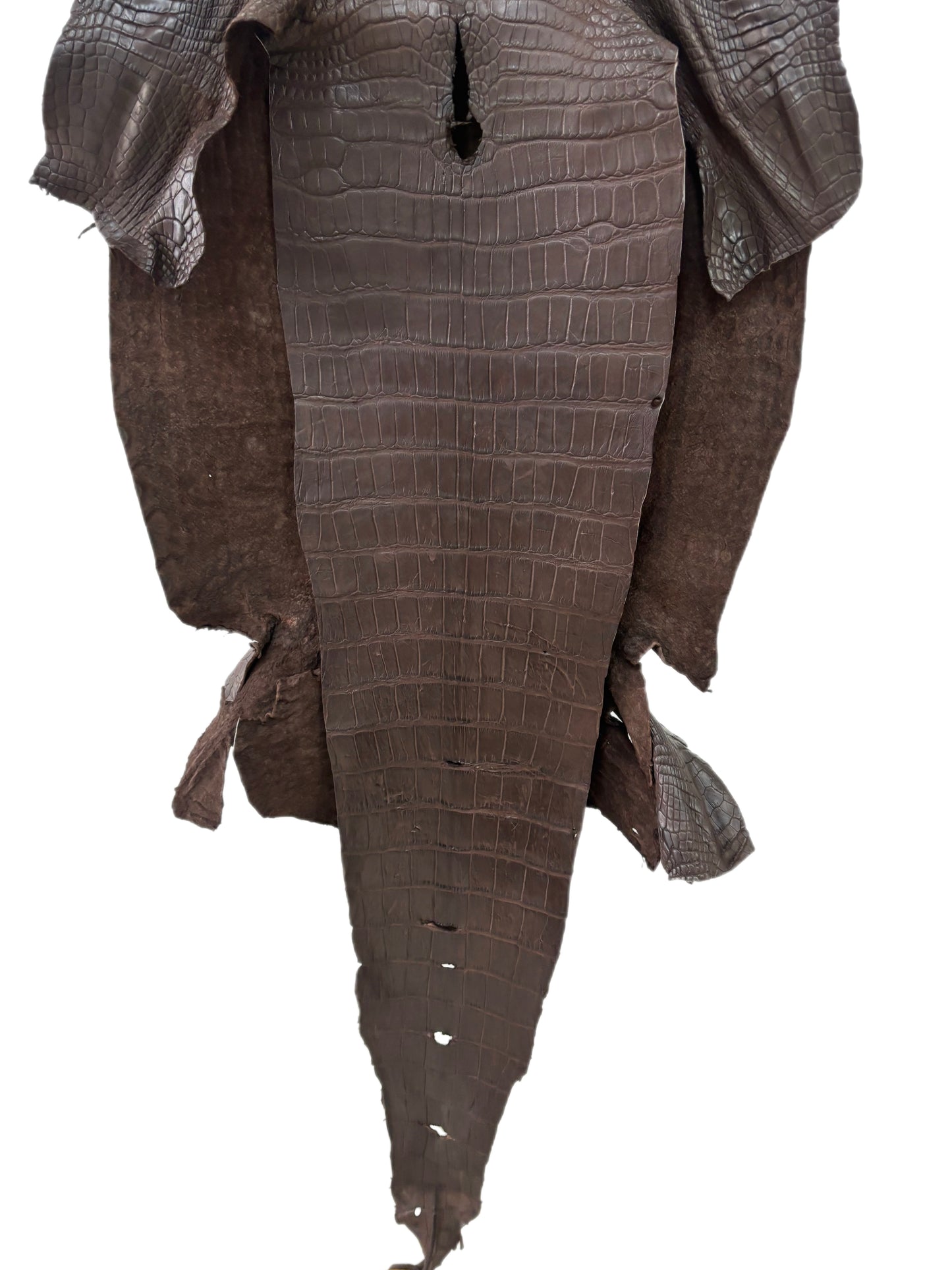 47 cm Grade 4/5 Chocolate Matte Wild American Alligator Leather - Tag: LA23-0014900