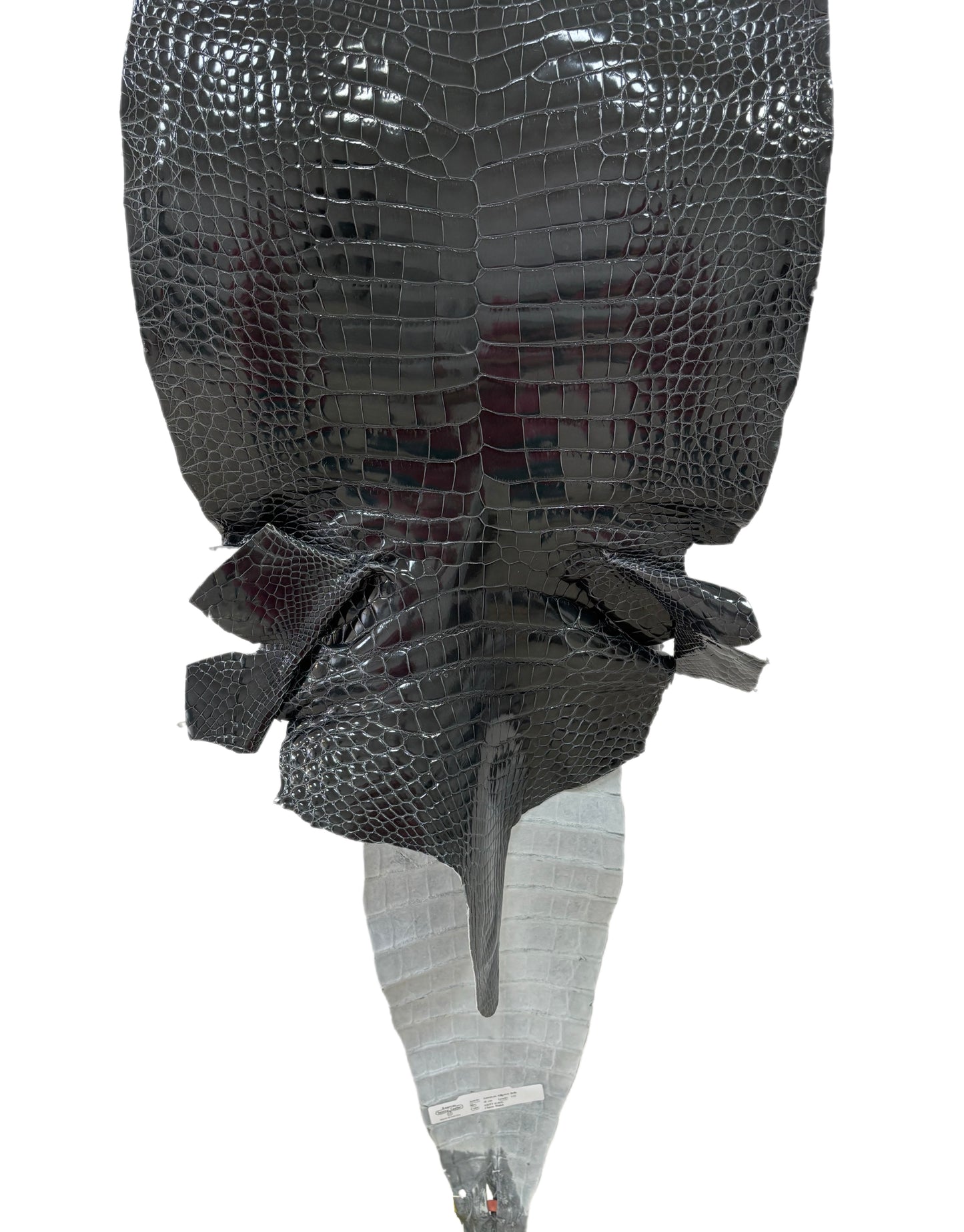 41 cm Grade 1/2 Grey Glazed Farm-Raised American Alligator Leather - Tag: GA14-0021316