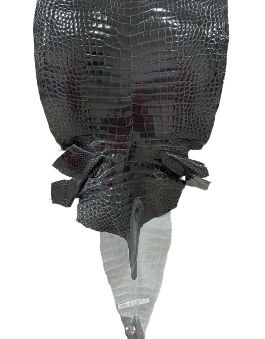 41 cm Grade 1/2 Grey Glazed Farm-Raised American Alligator Leather - Tag: GA14-0021316