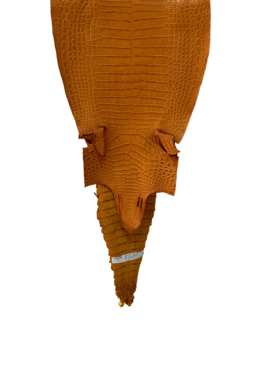 31 cm Grade 1/2 Buttercup Matte Farm-Raised American Alligator Leather - Tag: FL22-0030233