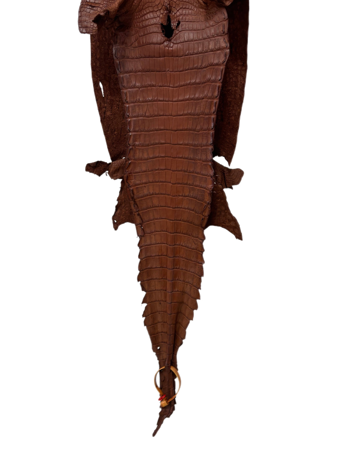 24 cm Grade 2/3 Rustic Cognac Matte Wild American Alligator Leather - Tag: FL10-0029138