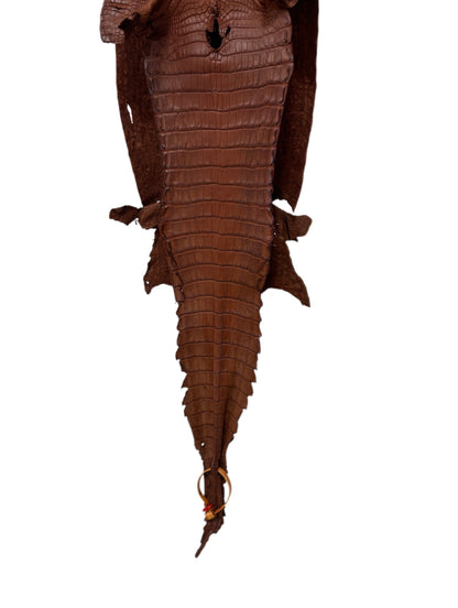 24 cm Grade 2/3 Rustic Cognac Matte Wild American Alligator Leather - Tag: FL10-0029138