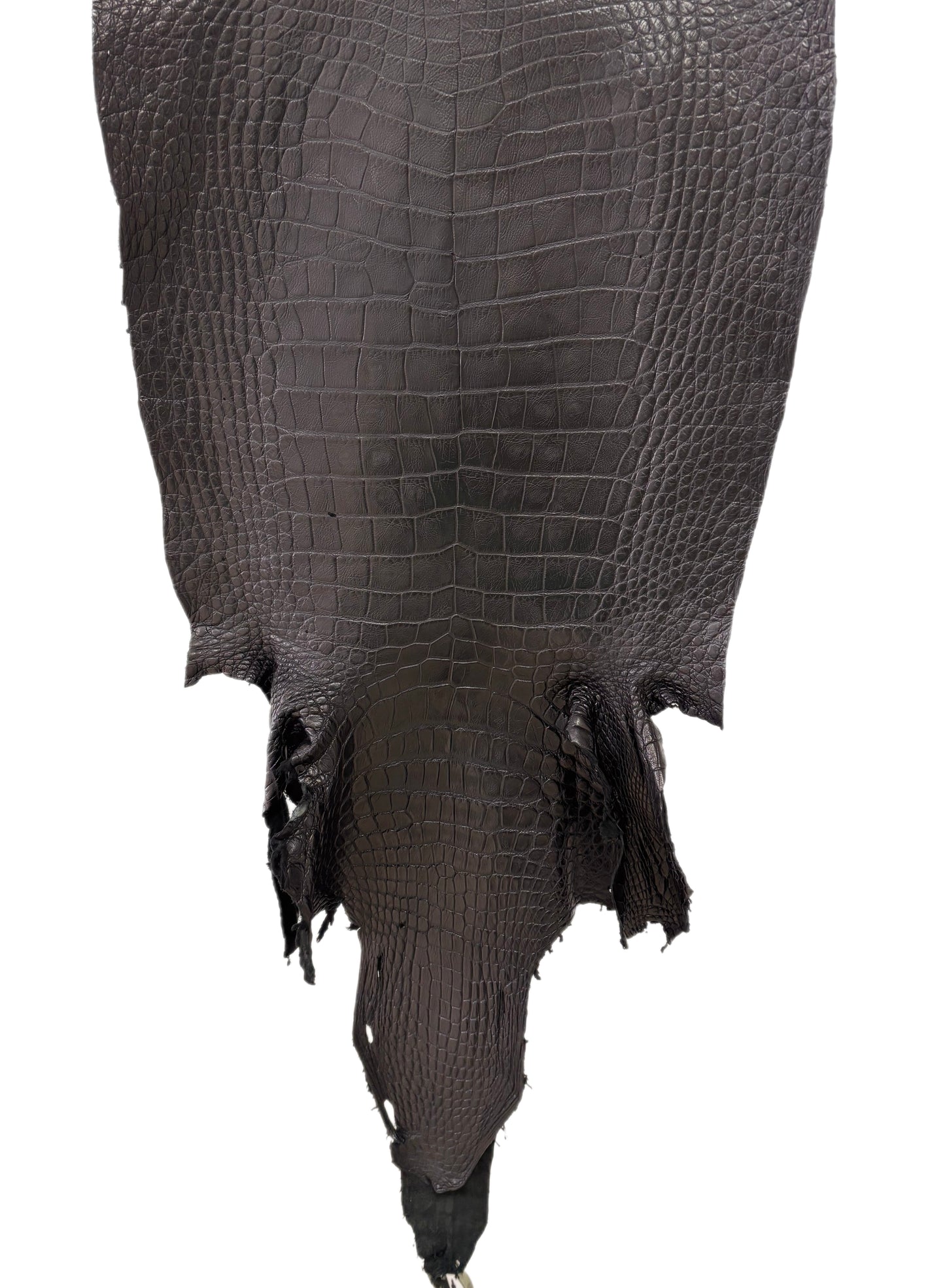 47 cm Grade 3/4 Black Matte Wild American Alligator Leather - Tag: LA23-0016641