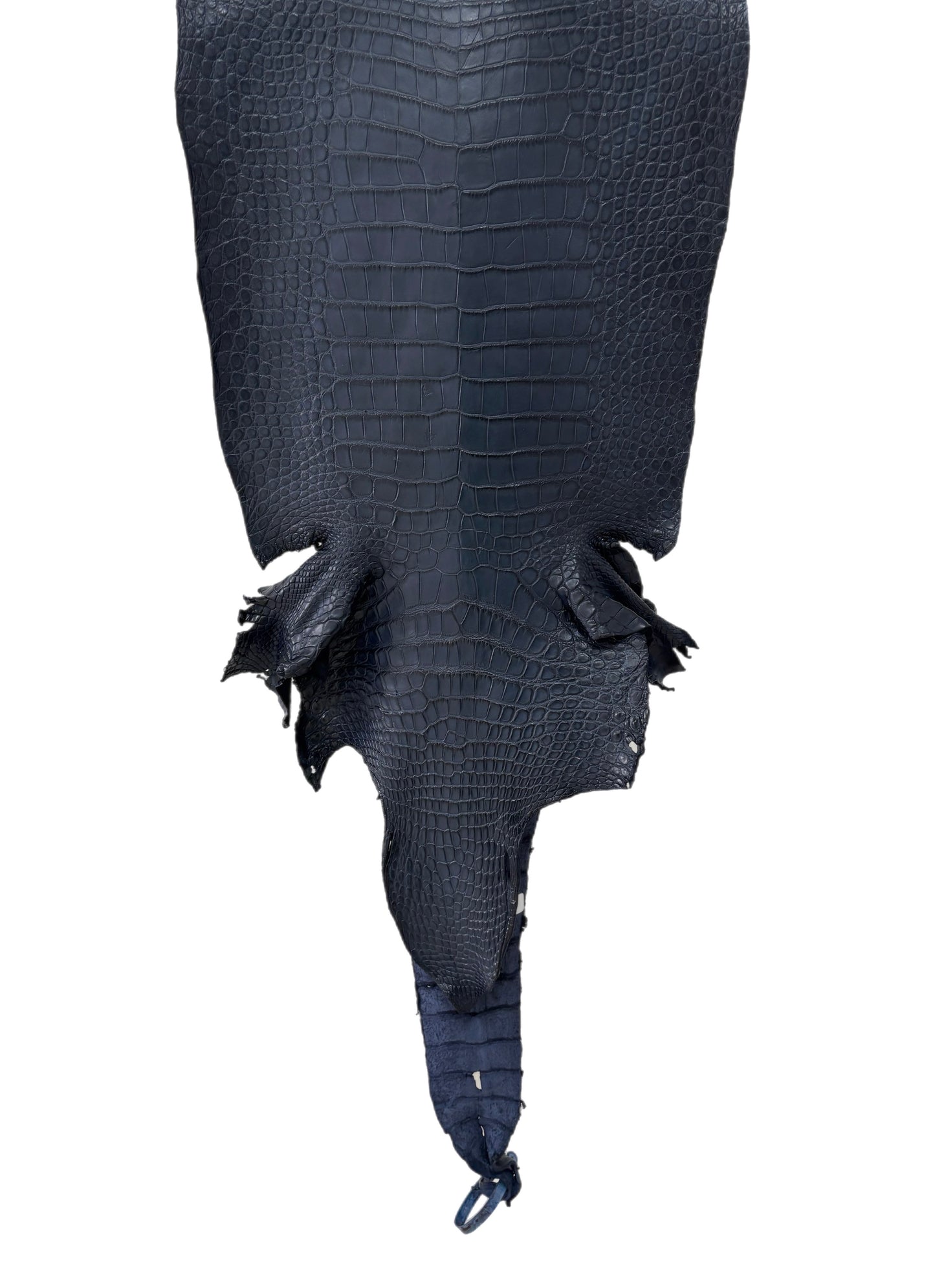 38 cm Grade 2/3 Navy Blue Matte Wild American Alligator Leather - Tag: LA23-0003625