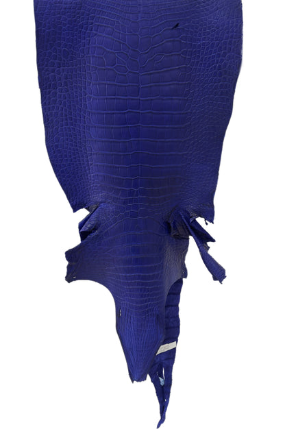 39 cm Grade 2/3 Cobalt Blue Matte Wild American Alligator Leather - Tag: LA23-0027268