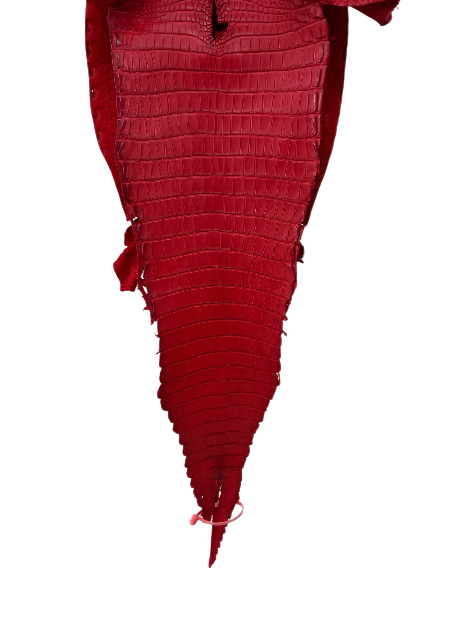 29 cm Grade 1/2 Candy Apple Red Matte Farm-Raised American Alligator Leather - Tag: FL21-0024283