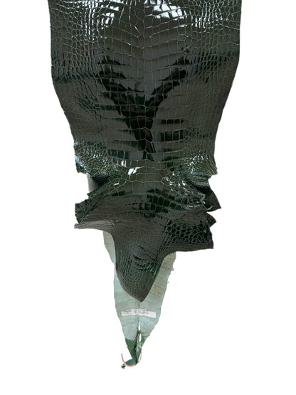 37 cm Grade 1/2 Forest Green Glazed Wild American Alligator Leather - Tag: LA18-0037481