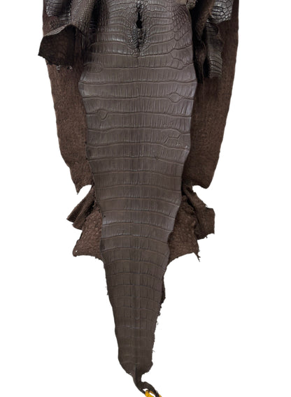49 cm Grade 4/5 Kralle Brown Matte Wild American Alligator Leather - Tag: LA25-0008002