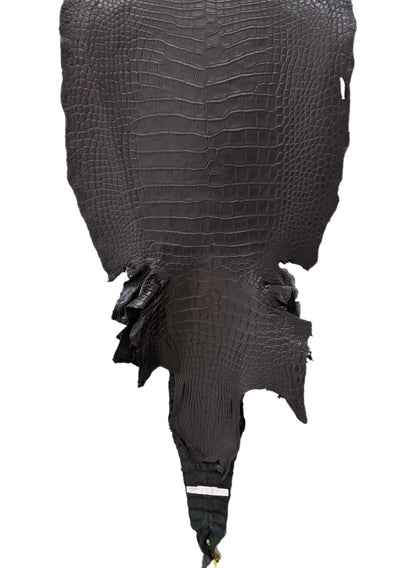 50 cm Grade 2/3 Black Matte Wild American Alligator Leather - Tag: LA22-0018177