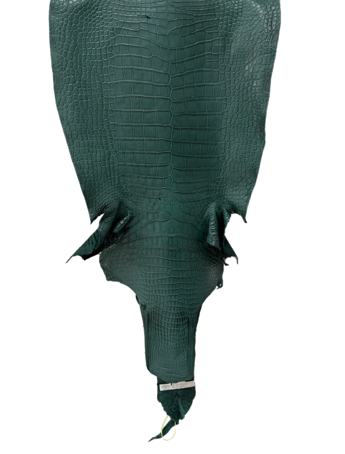 49 cm Grade 3/4 Filigrana Matte Wild American Alligator Leather - Tag: LA25-0019685