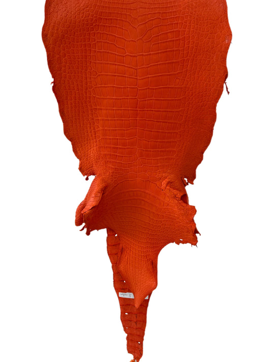 40 cm Grade 2/3 Orange Primavera Matte Wild American Alligator Leather - Tag: LA23-0001303