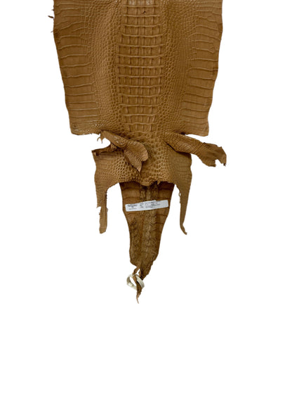 31 cm Grade 1/2 Antique Saddle Matte Farm-Raised American Alligator Hornback Leather - Tag: LA23-0377051