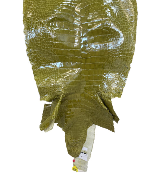 CLOSEOUT | 50 cm Grade 3/4 Muguet Glazed Wild American Alligator Leather - Tag: CCIT-0539948