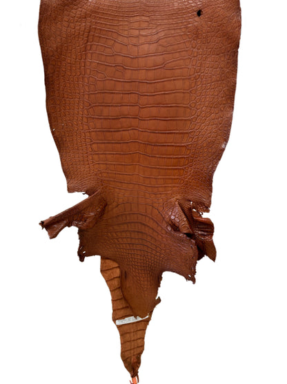 41 cm Grade 2/3 Cognac Matte Wild American Alligator Leather - Tag: MS24-0000752