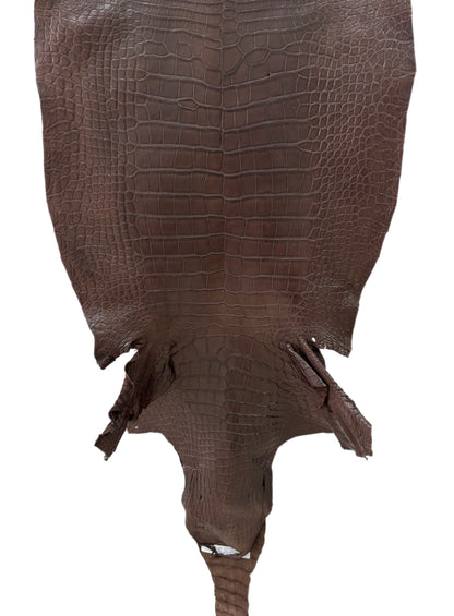 52 cm Grade 2/3 Chocolate Matte Wild American Alligator Leather - Tag: LA23-0047068