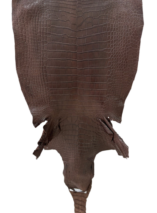 52 cm Grade 2/3 Chocolate Matte Wild American Alligator Leather - Tag: LA23-0047068