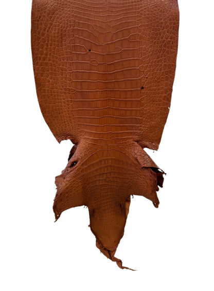 43 cm Grade 3/4 Cognac Matte Wild American Alligator Leather - Tag: LA24-0022398