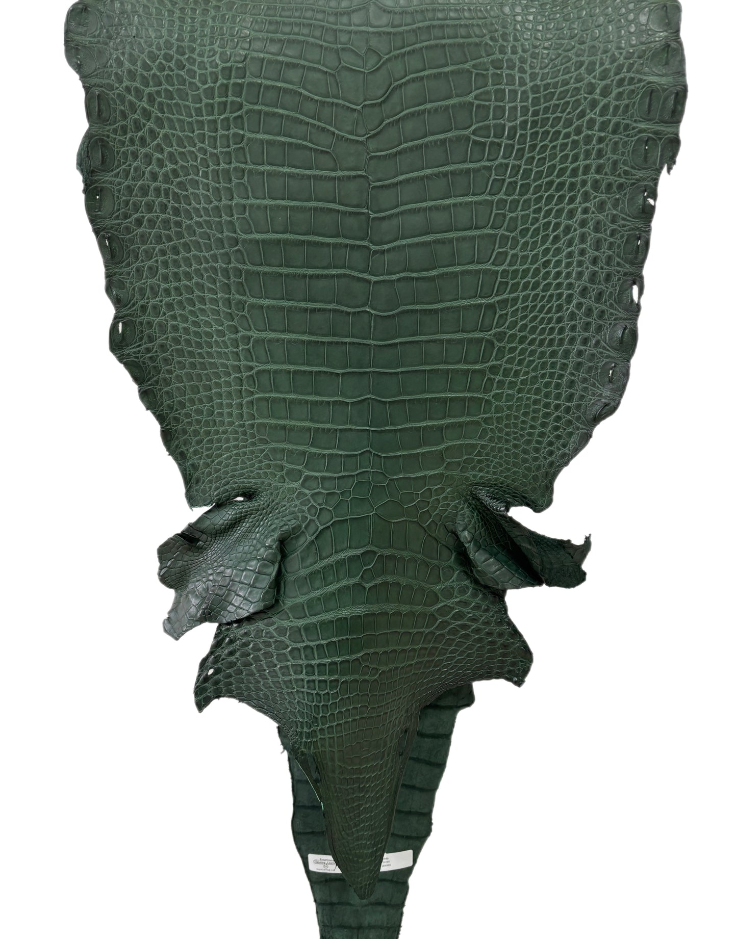 36 cm Grade 2/3 Forest Green Matte Farm-Raised American Alligator Leather - Tag: LA17-0274337