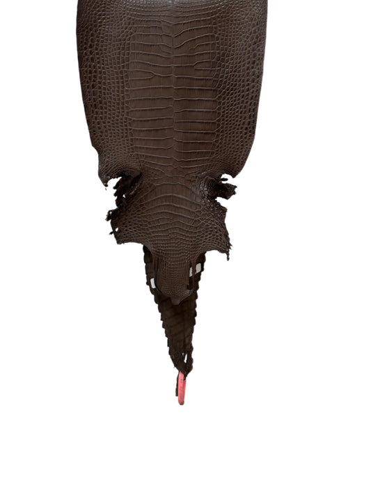 25 cm Grade 1/2 Nicotine Matte Farm-Raised American Alligator Leather - Tag: FL21-0025069