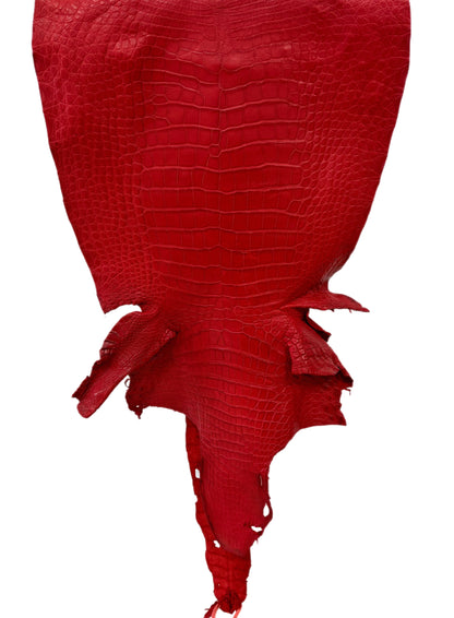 45 cm Grade 3/4 Candy Apple Red Matte Wild American Alligator Leather - Tag: LA24-0018654