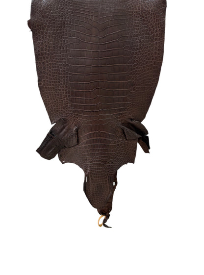 43 cm Grade 2/3 Chocolate Matte Wild American Alligator Leather - Tag: LA23-0050064