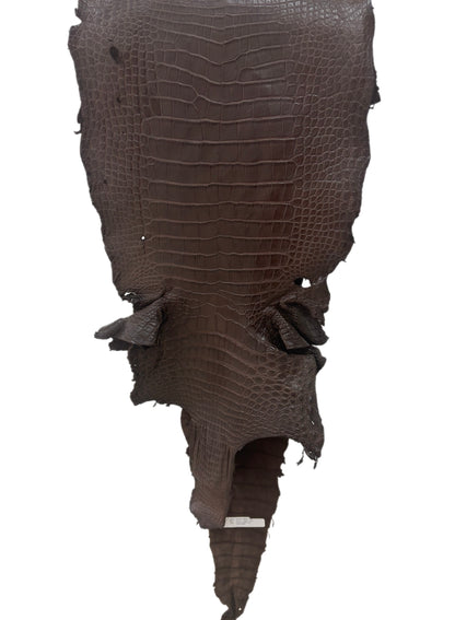 41 cm Grade 3/4 Chocolate Matte Wild American Alligator Leather - Tag: LA22-0025079