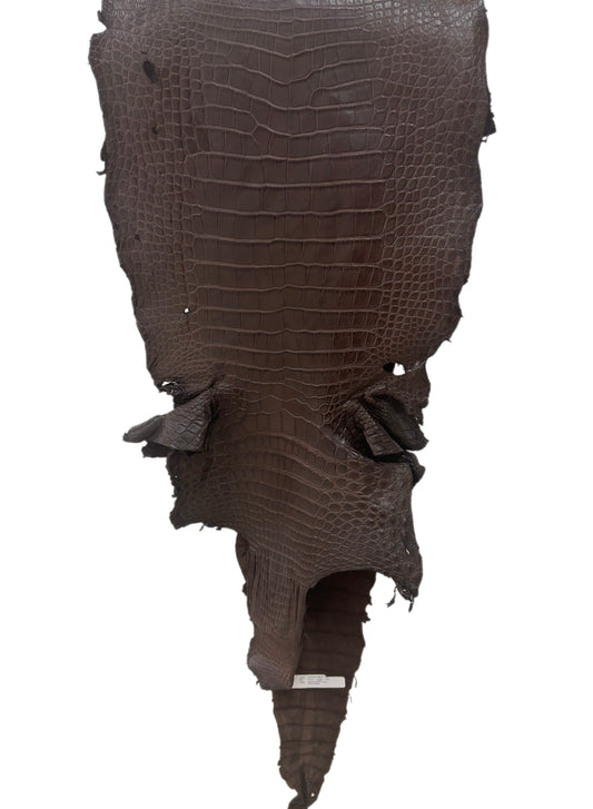 41 cm Grade 3/4 Chocolate Matte Wild American Alligator Leather - Tag: LA22-0025079