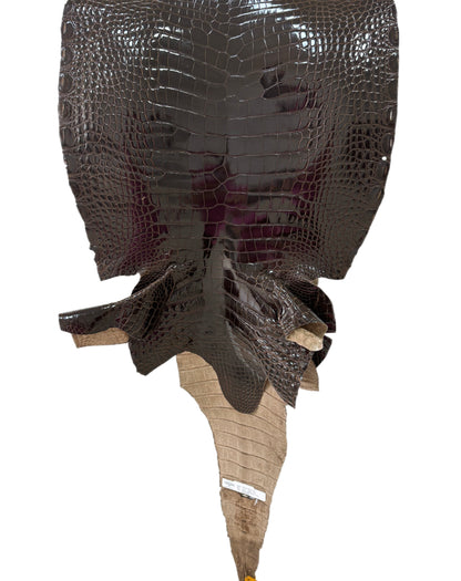 45 cm Grade 2/3 Sport Rust Brown Glazed Farm-Raised American Alligator Leather - Tag: LA12-0136202