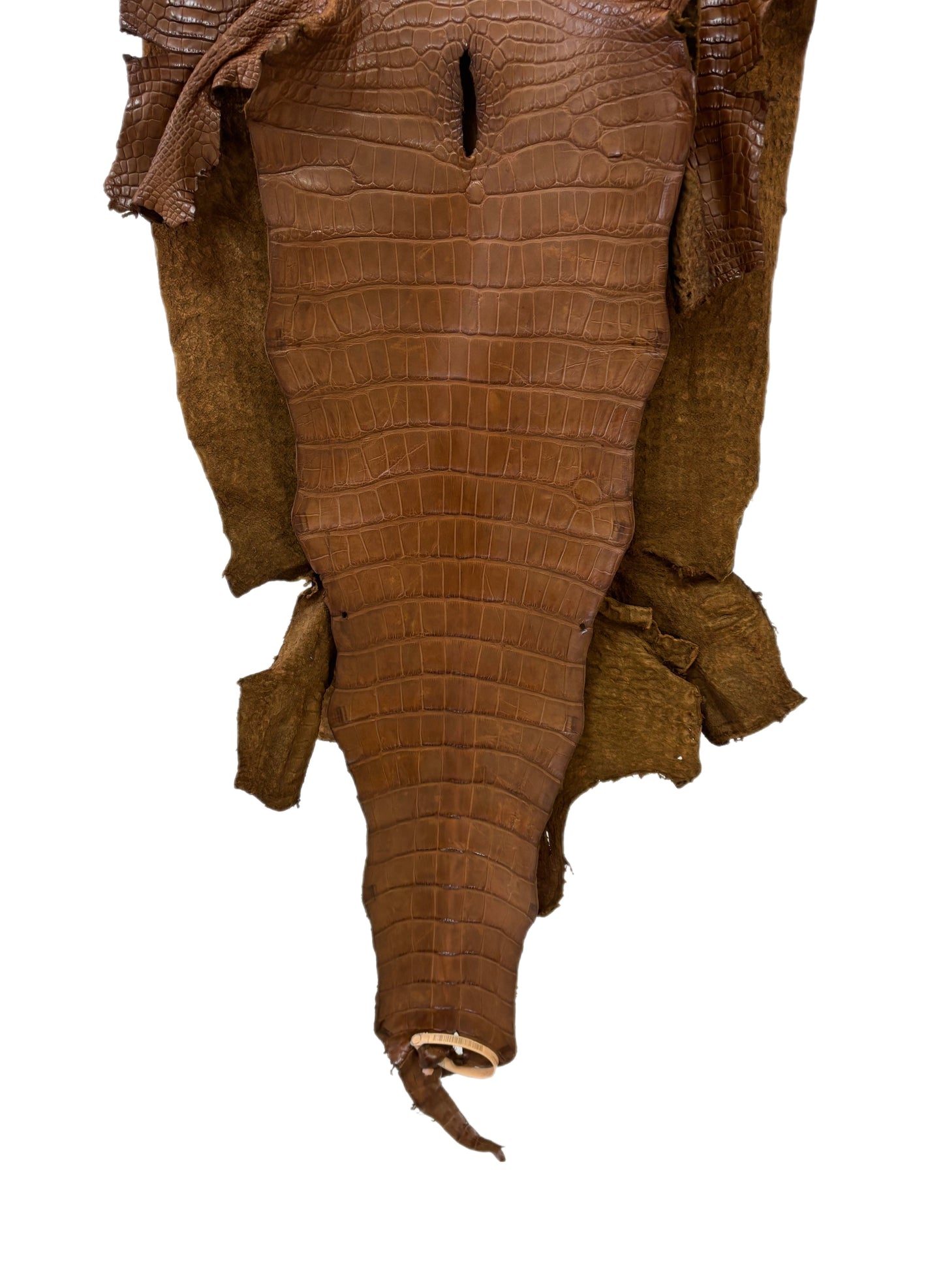 45 cm Grade 3/4 Kango Tabac Matte Wild American Alligator Leather - Tag: LA23-0040478
