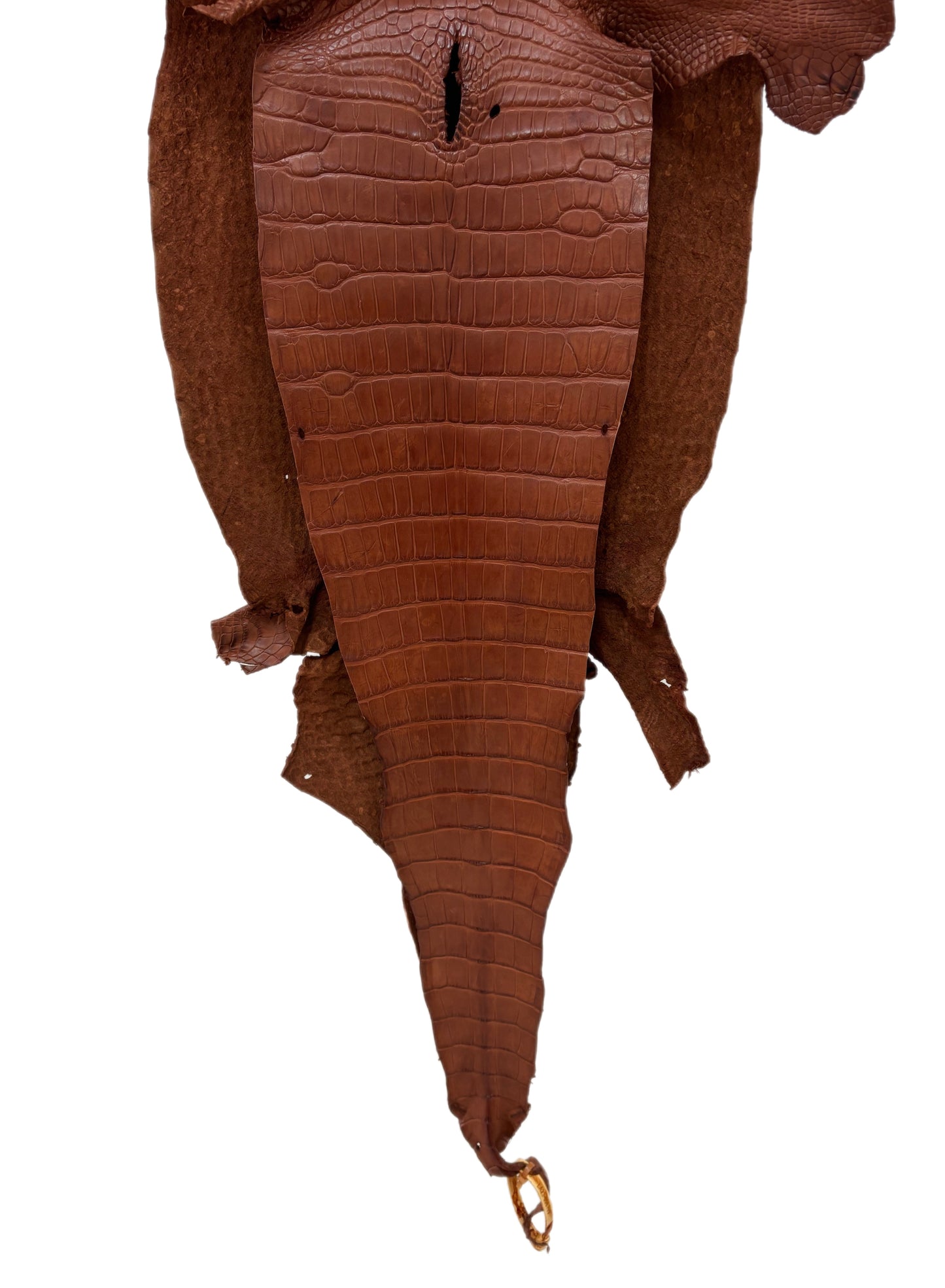 37 cm Grade 3/4 Rustic Cognac Matte Wild American Alligator Leather - Tag: LA23-0006799