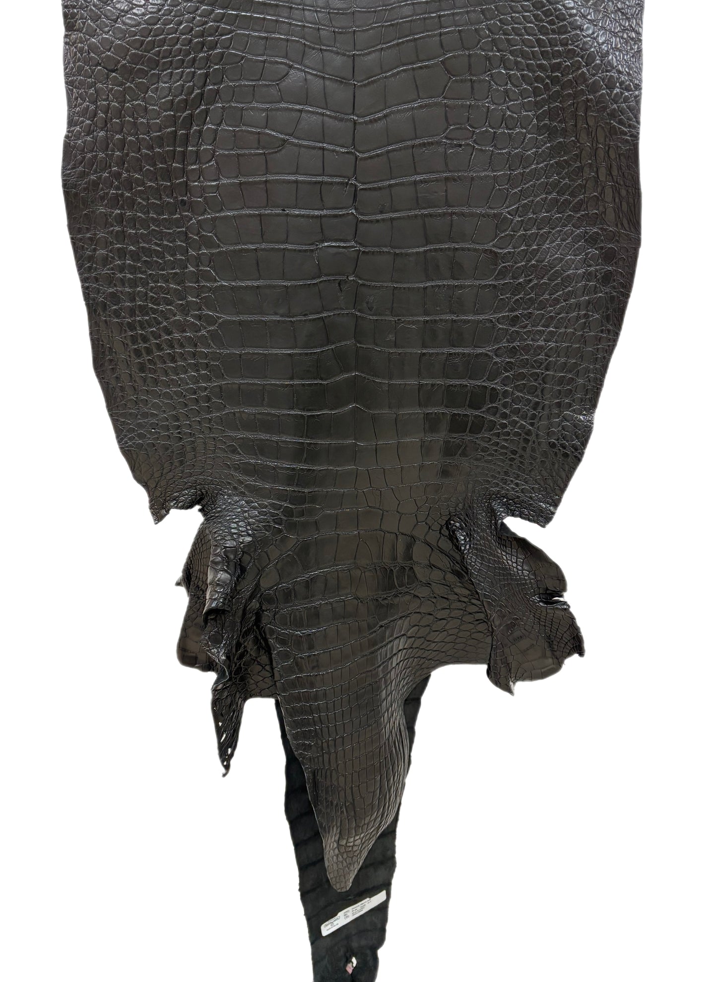 56 cm Grade 4/5 Black Matte Wild American Alligator Leather - Tag: FL24-0077645