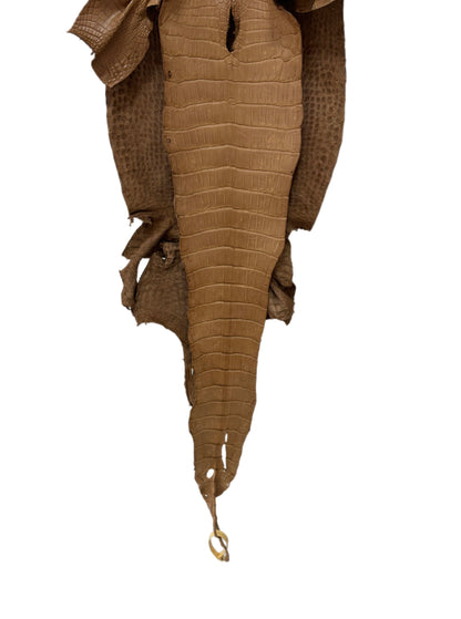 32 cm Grade 4/5 Cammello Matte Wild American Alligator Leather - Tag: LA14-0039297