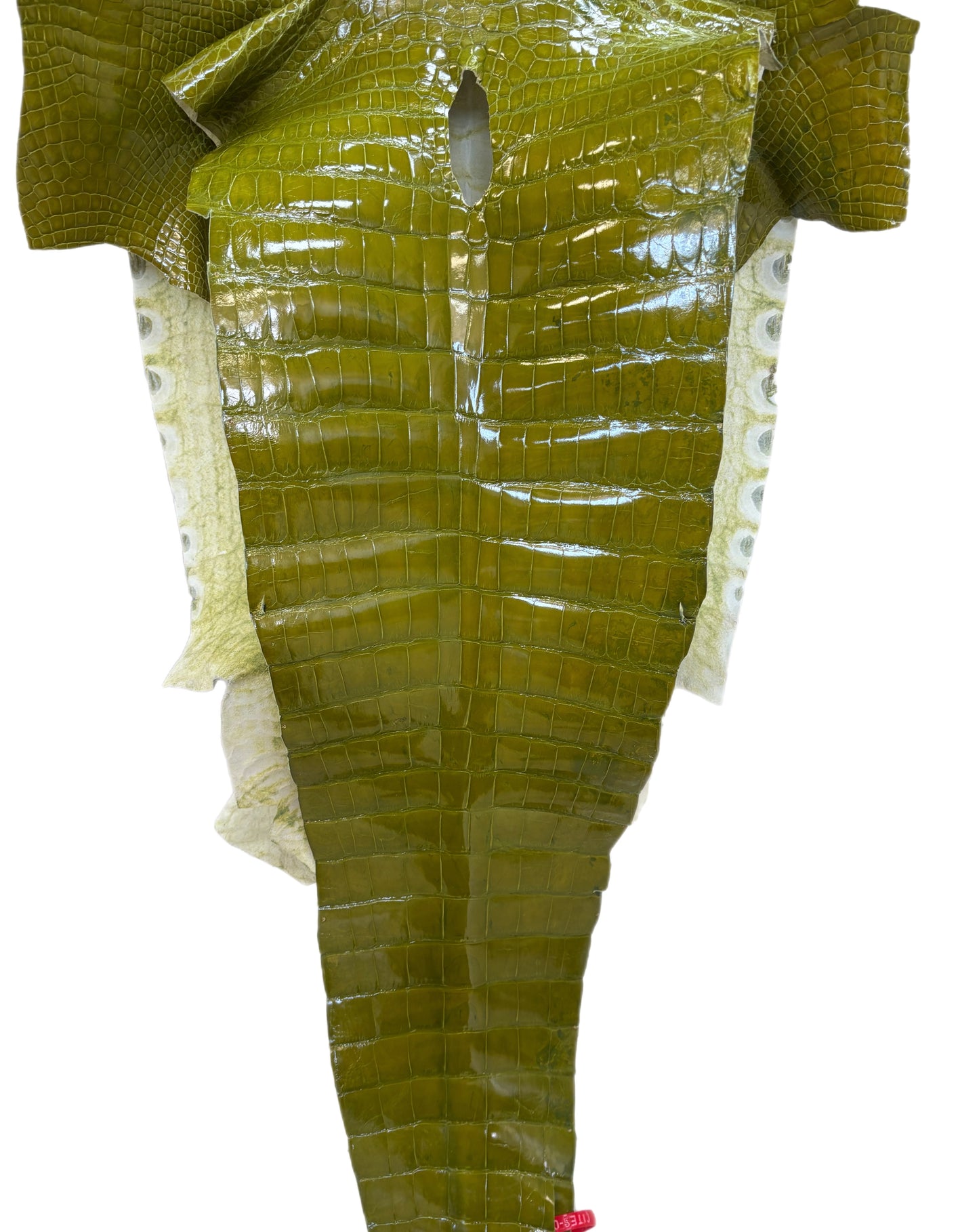 CLOSEOUT | 40 cm Grade 3/4 Muguet Glazed Wild American Alligator Leather - Tag: CCIT-0539949