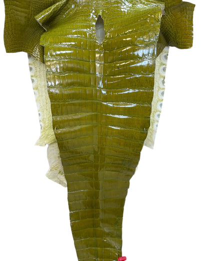 CLOSEOUT | 40 cm Grade 3/4 Muguet Glazed Wild American Alligator Leather - Tag: CCIT-0539949