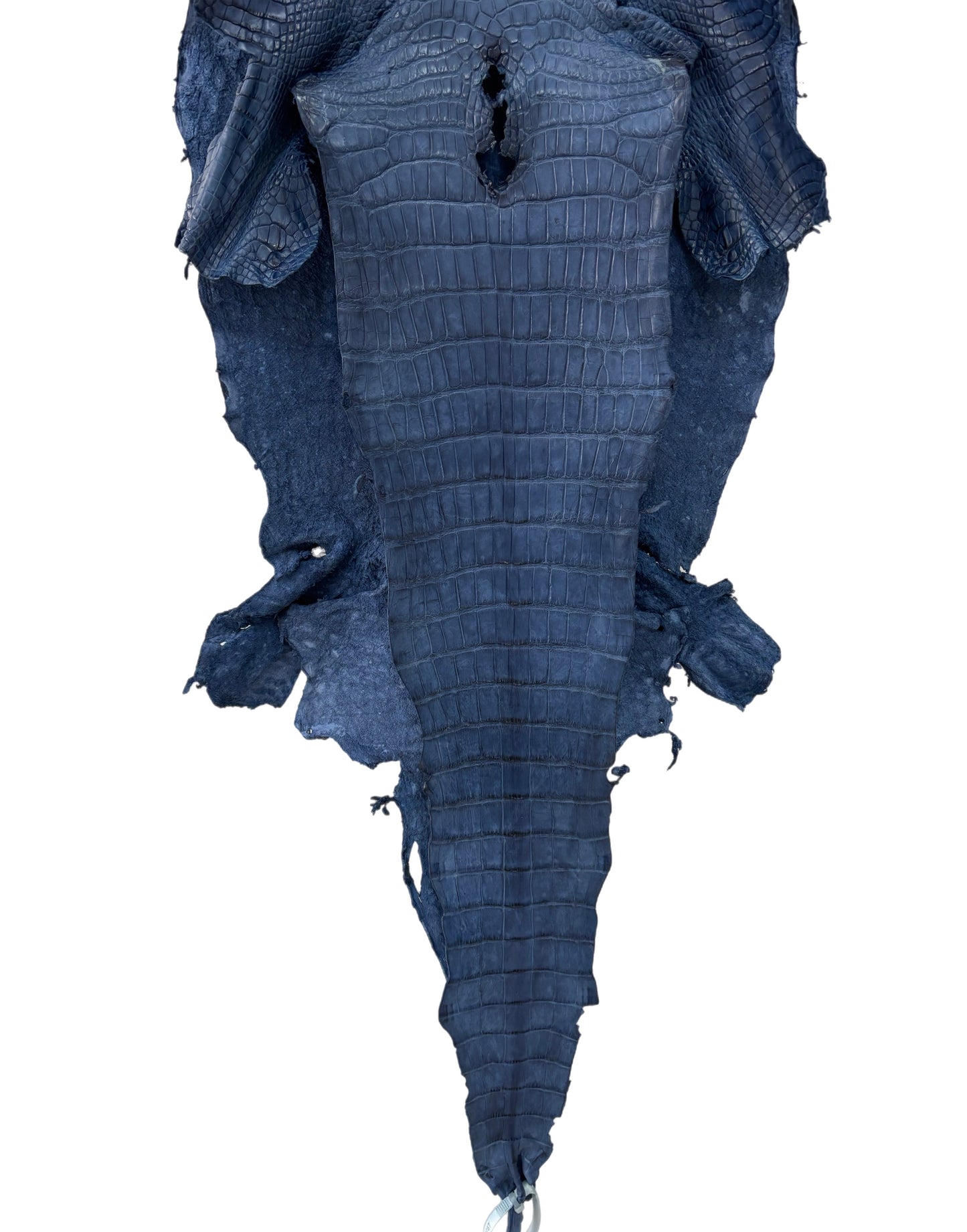 38 cm Grade 4/5 Indigo Matte Wild American Alligator Leather - Tag: LA23-0019787