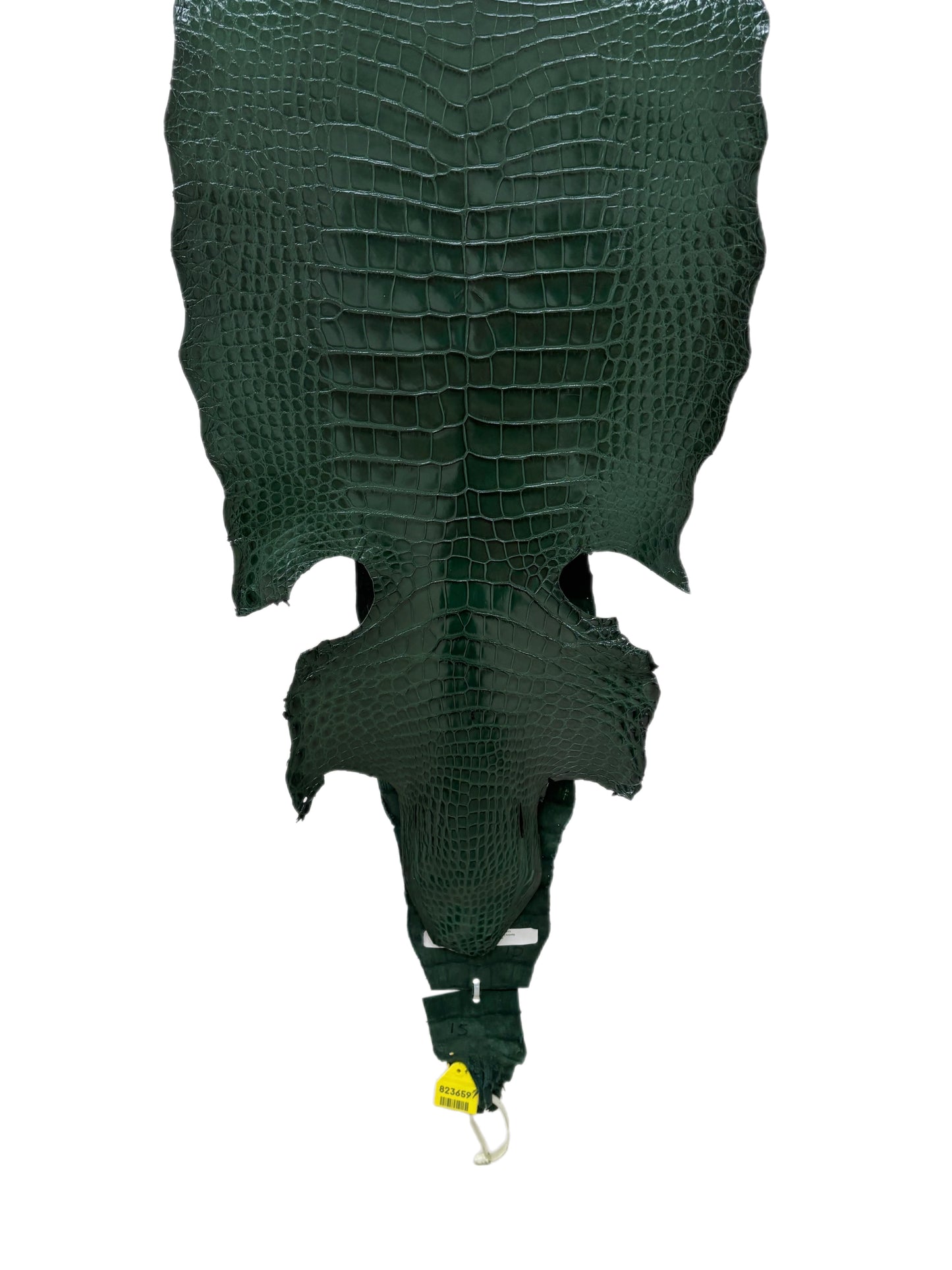 38 cm Grade 1/2 Forest Green Millennium Wild American Alligator Leather - Tag: LA17-0013474