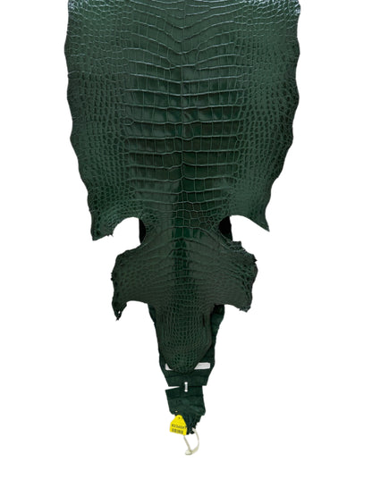 38 cm Grade 1/2 Forest Green Millennium Wild American Alligator Leather - Tag: LA17-0013474