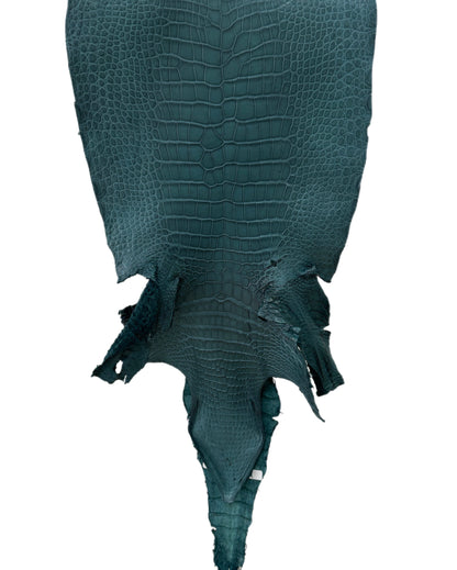 35 cm Grade 2/3 Teal Matte Wild American Alligator Leather - Tag: LA23-0019956