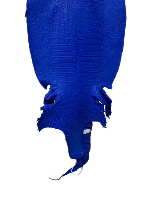 38 cm Grade 1/2 Royal Blue Matte Wild American Alligator Leather - Tag: LA23-0021495