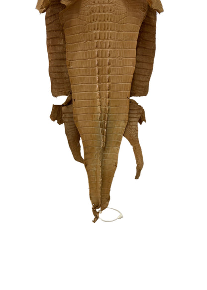 30 cm Grade 1/2 Antique Saddle Matte Farm-Raised American Alligator Hornback Leather - Tag: LA23-0377021