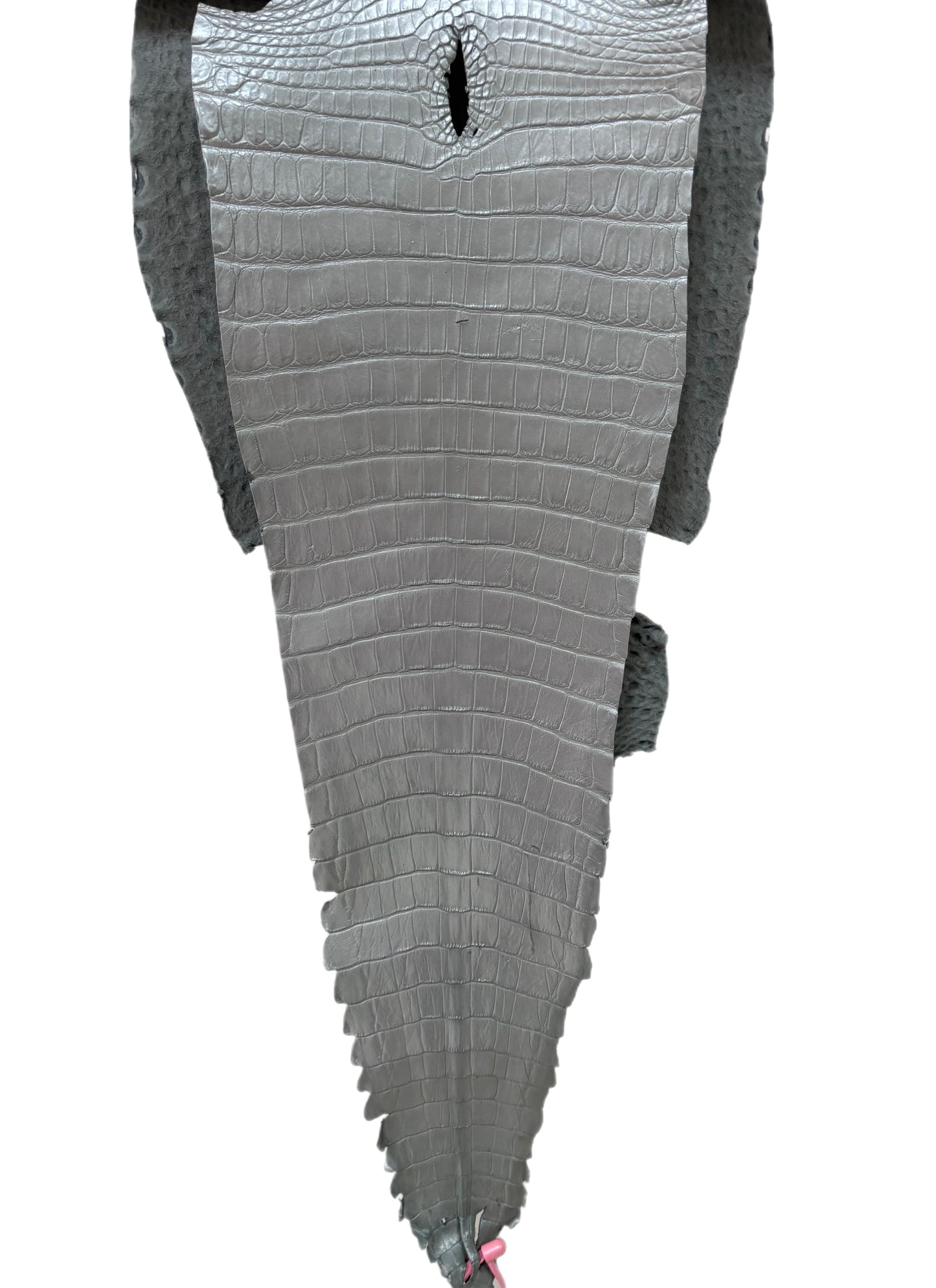 32 cm Grade 2/3 Silver Metallic Farm-Raised American Alligator Leather - Tag: FL21-0024256