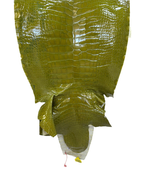 CLOSEOUT | 40 cm Grade 3/4 Muguet Glazed Wild American Alligator Leather - Tag: CCIT-0539949