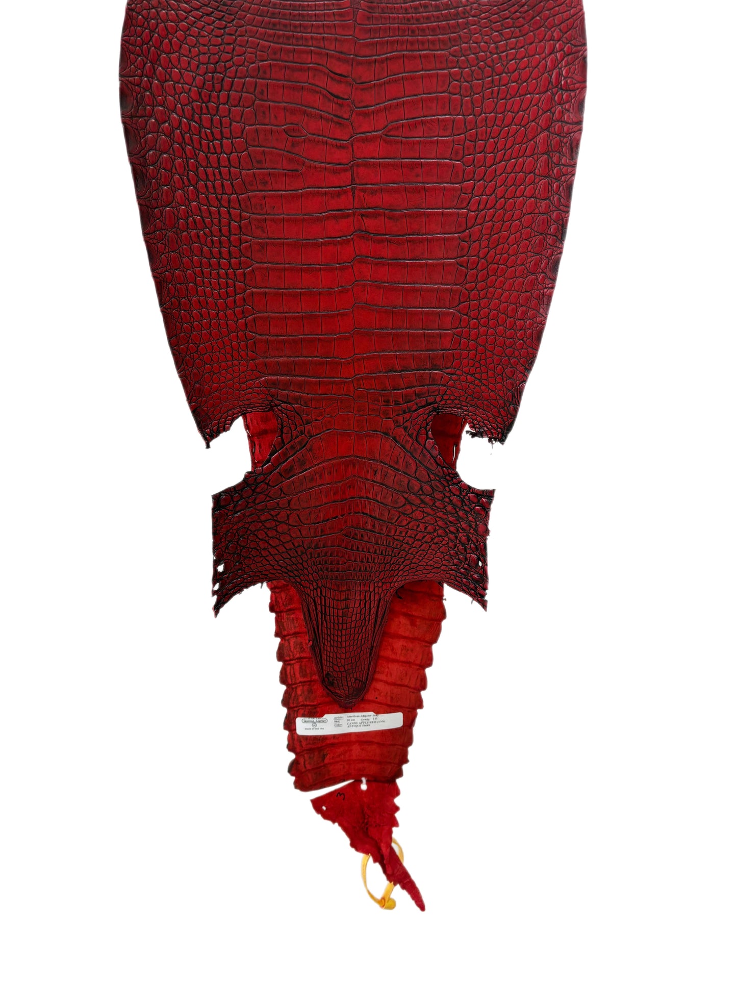 30 cm Grade 1/2 Candy Apple Red Antique Farm-raised American Alligator Leather - Tag: FL22-0030320