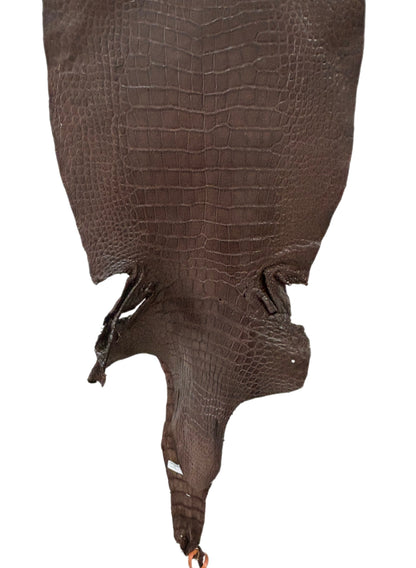 46 cm Grade 3/4 Chocolate Matte Wild American Alligator Leather - Tag: LA24-0024434