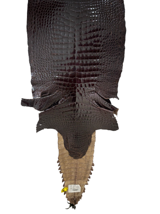 43 cm Grade 2/3 Sport Rust Brown Glazed Wild American Alligator Leather - Tag: FL98-0036481