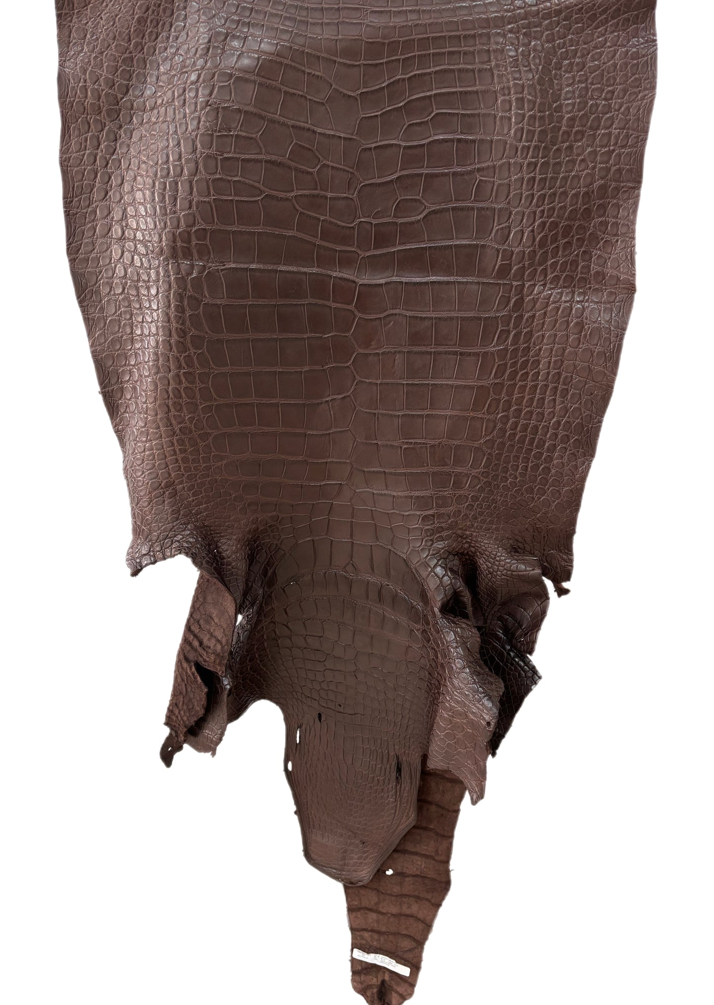 68 cm Grade 3/4 Chocolate Matte Wild American Alligator Leather - Tag: LA24-0037373
