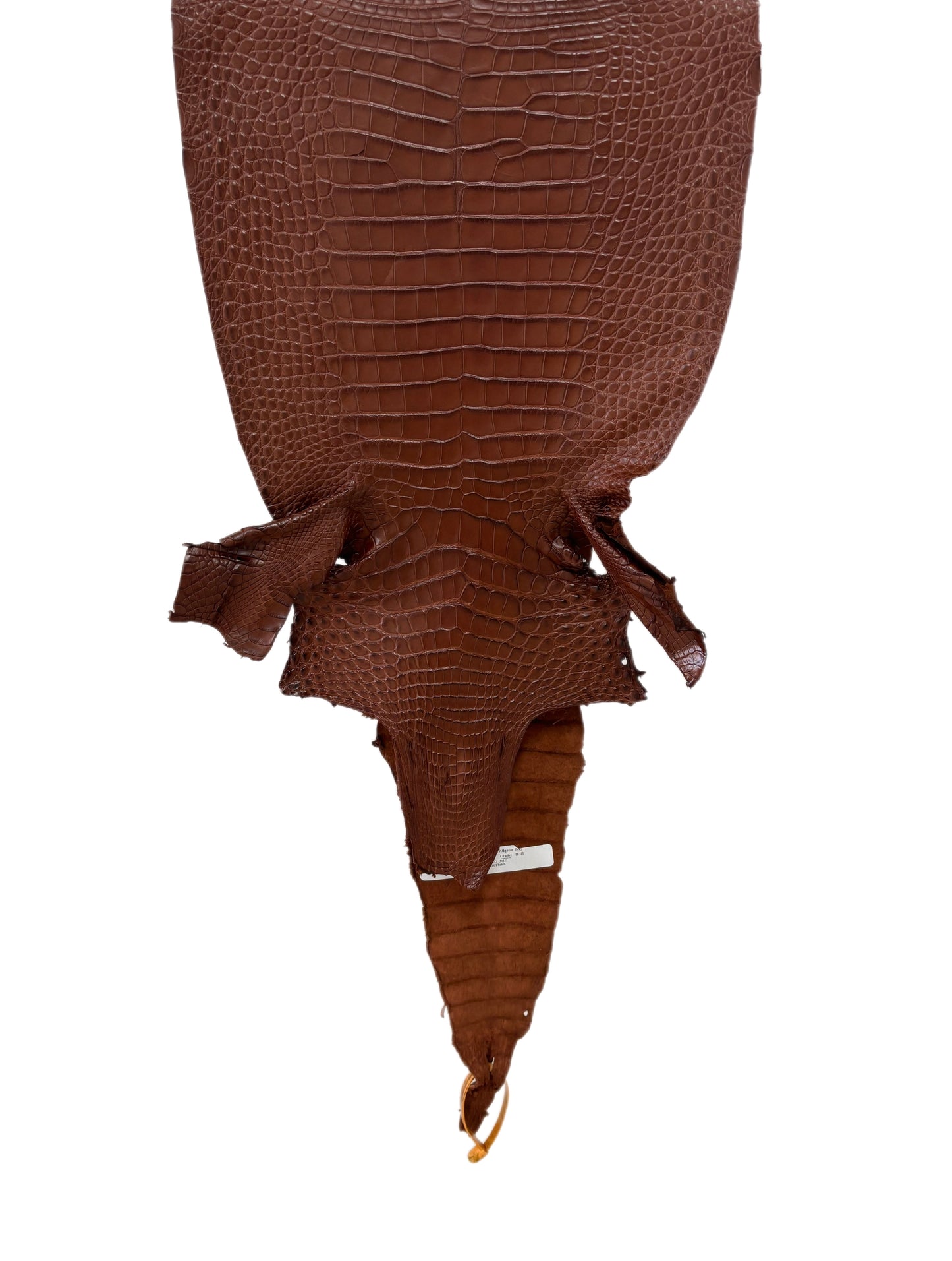 32 cm Grade 2/3 Rodeo Matte Farm-Raised American Alligator Leather - Tag: FL17-0036027